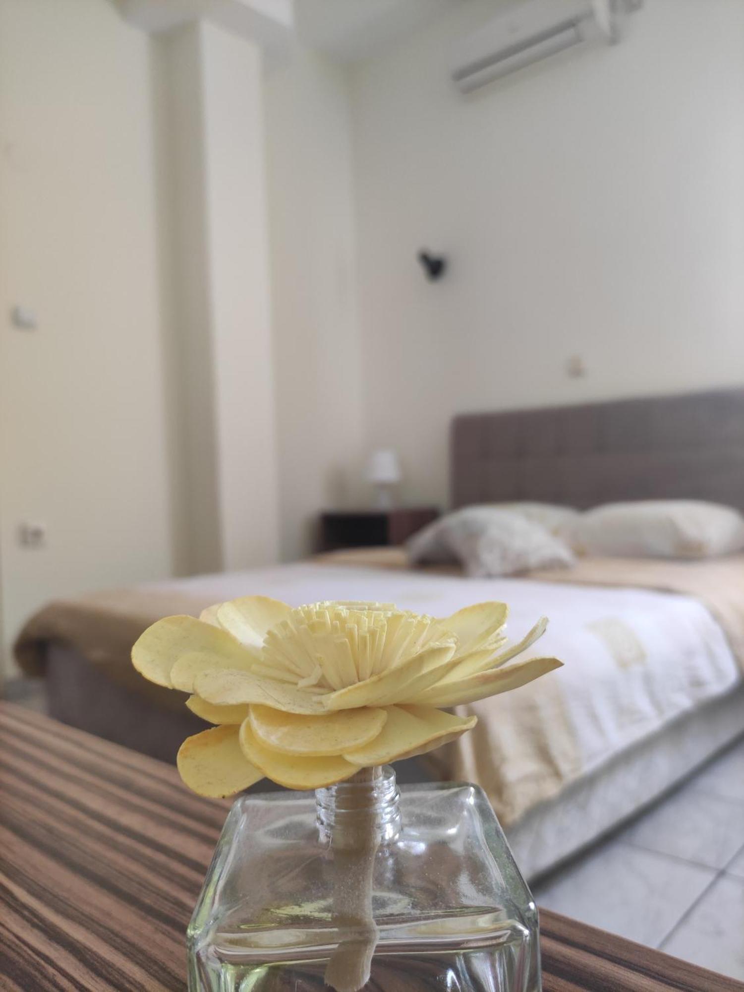 B&B Bebinac Leskovac  Buitenkant foto